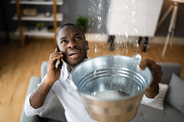Best Water damage cleanup near me  in Willits, CA