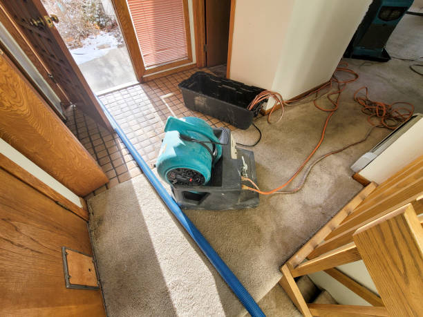 Best Water damage restoration company  in Willits, CA