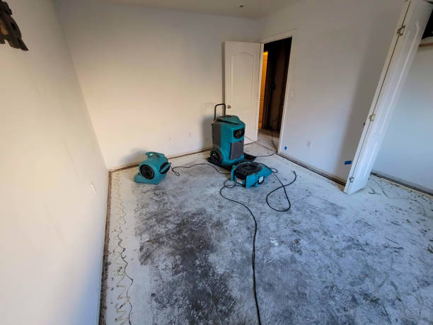 Best 24-hour water damage restoration  in Willits, CA