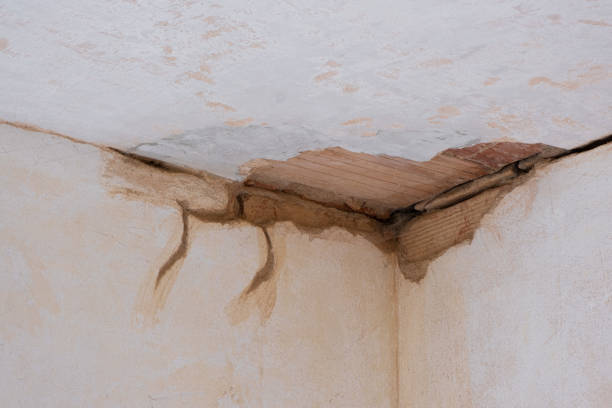 Best Emergency water extraction  in Willits, CA
