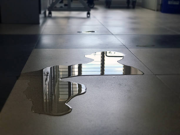 Best Water damage mitigation services  in Willits, CA