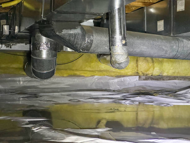  Willits, CA Water damage restoration Pros