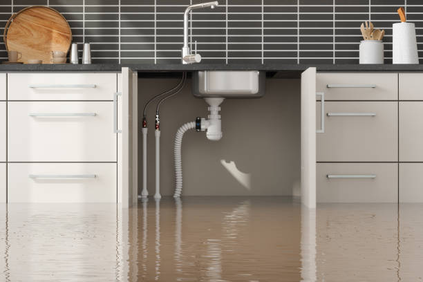 Best Water damage restoration near me  in Willits, CA