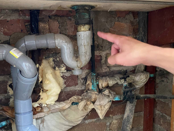 Best Residential water damage restoration  in Willits, CA