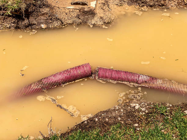 Best Basement water damage restoration  in Willits, CA