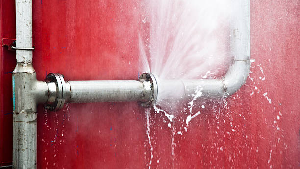 Best Carpet water damage restoration  in Willits, CA